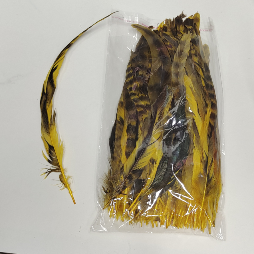 Blue and white tail yellow