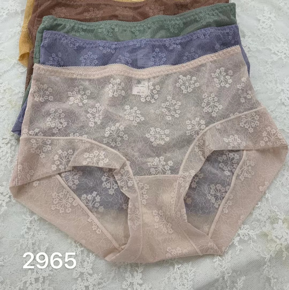 2965精品内裤