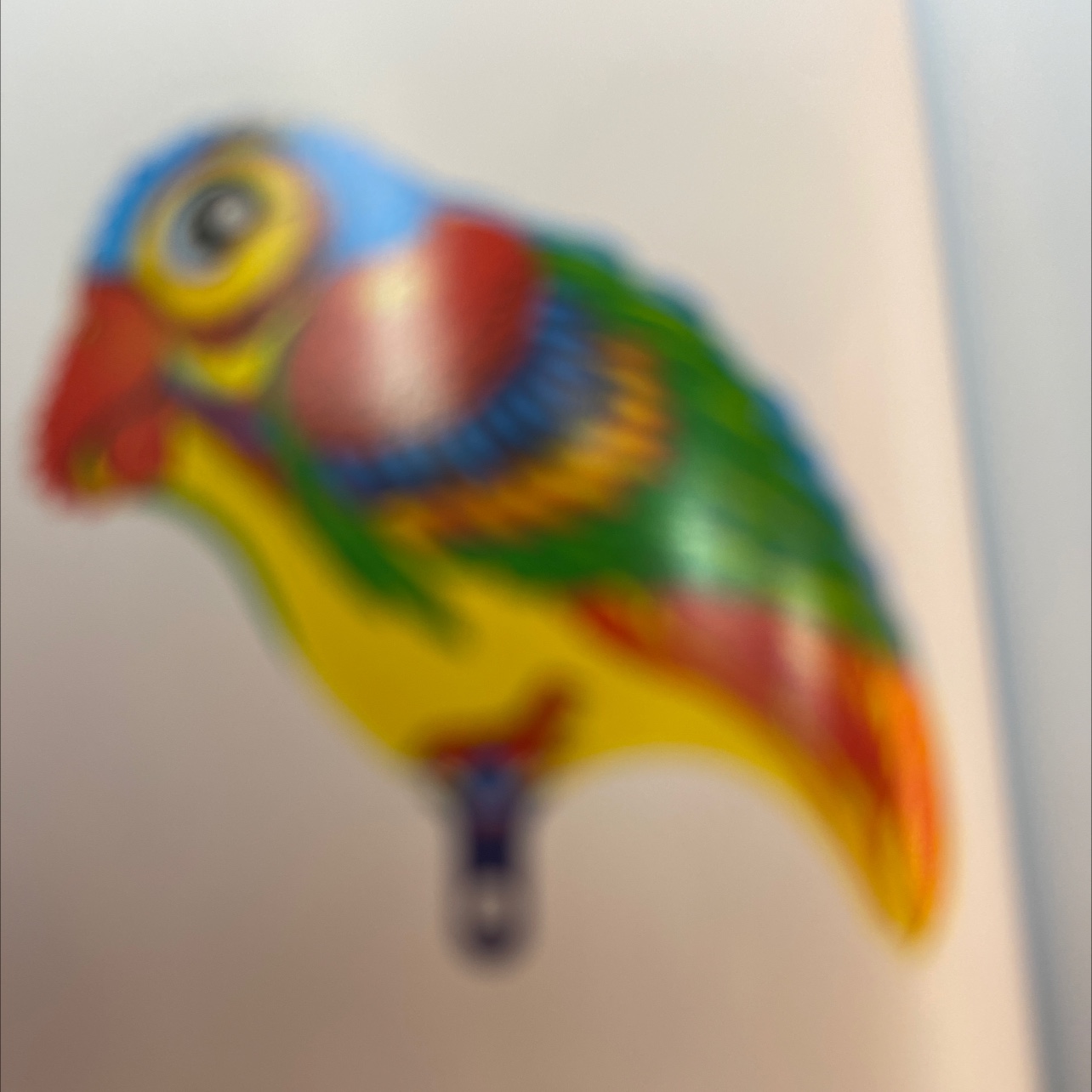 鹦鹉