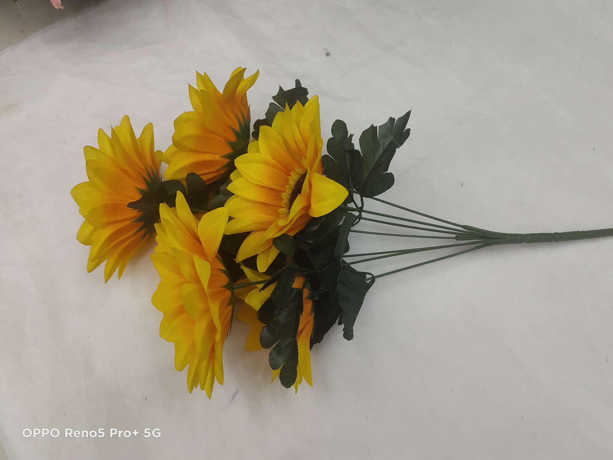 Eighteen sunflowers details Picture