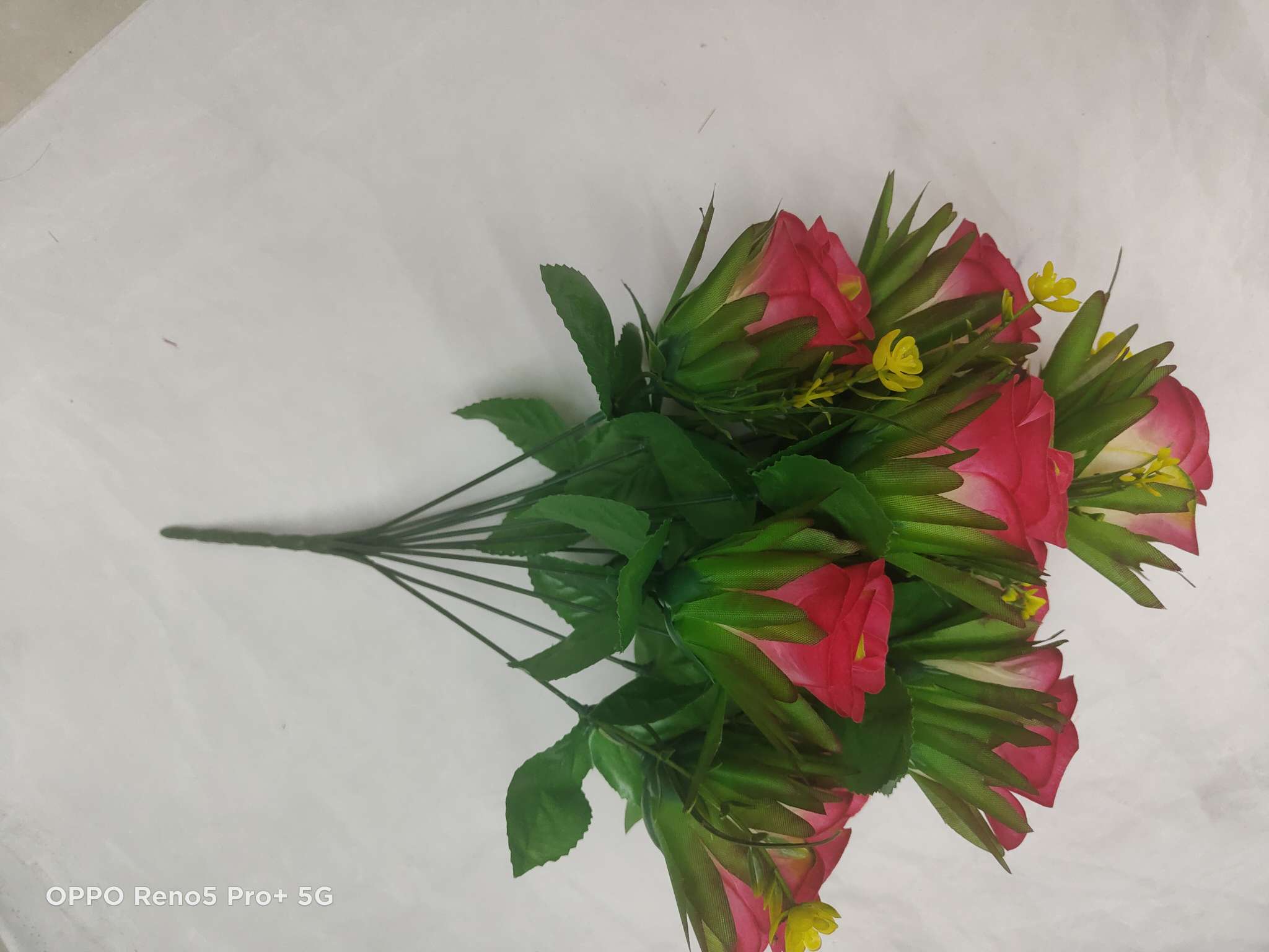12 heads with leaf buds details Picture
