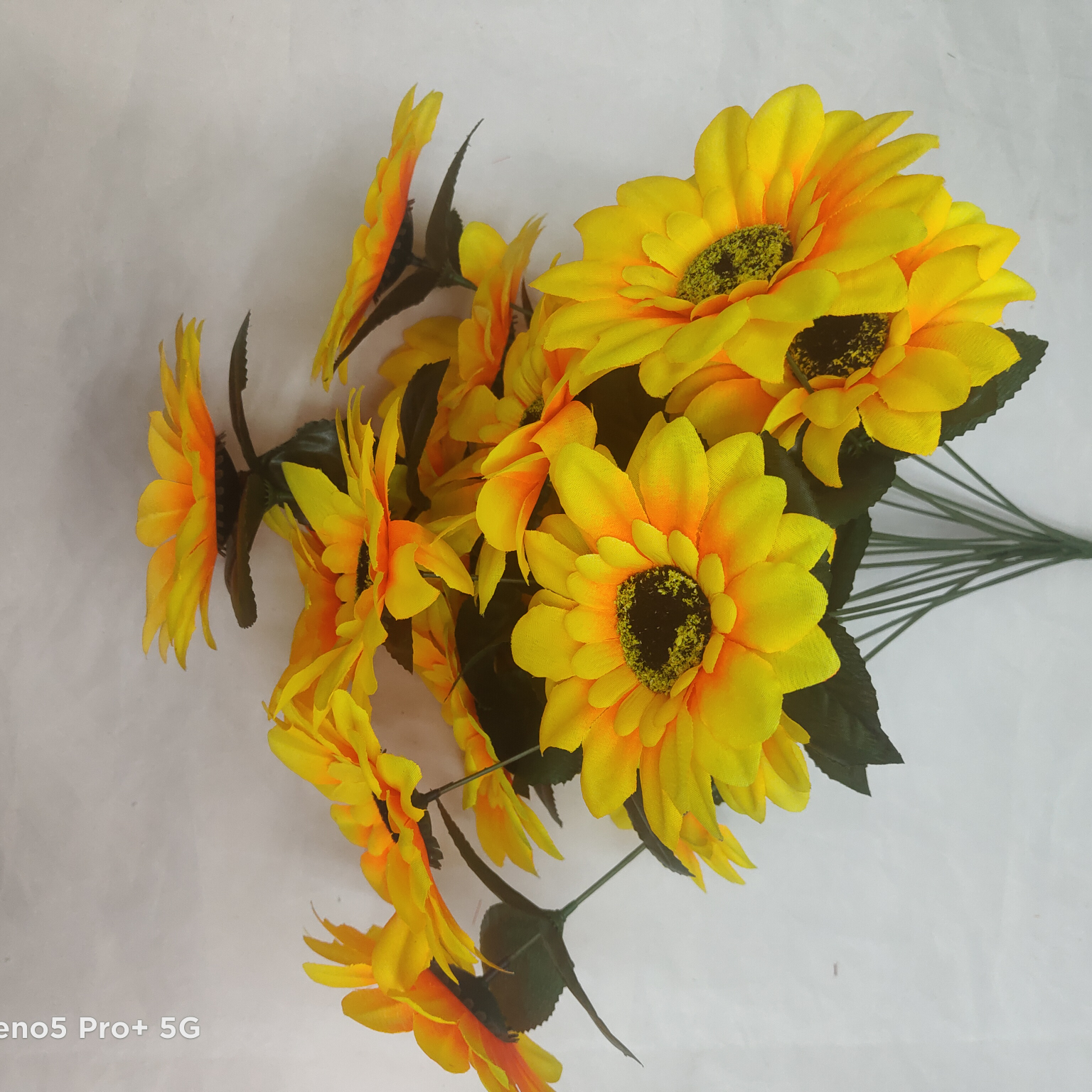 Eighteen sunflowers