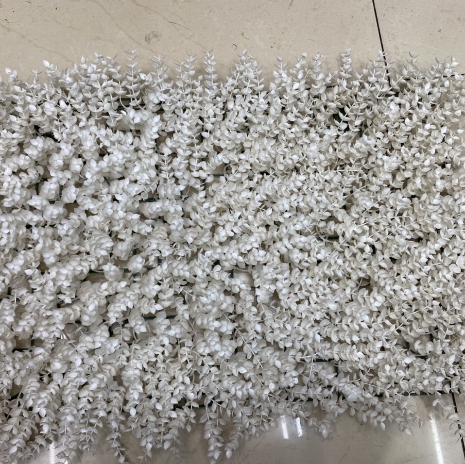 White eucalyptus