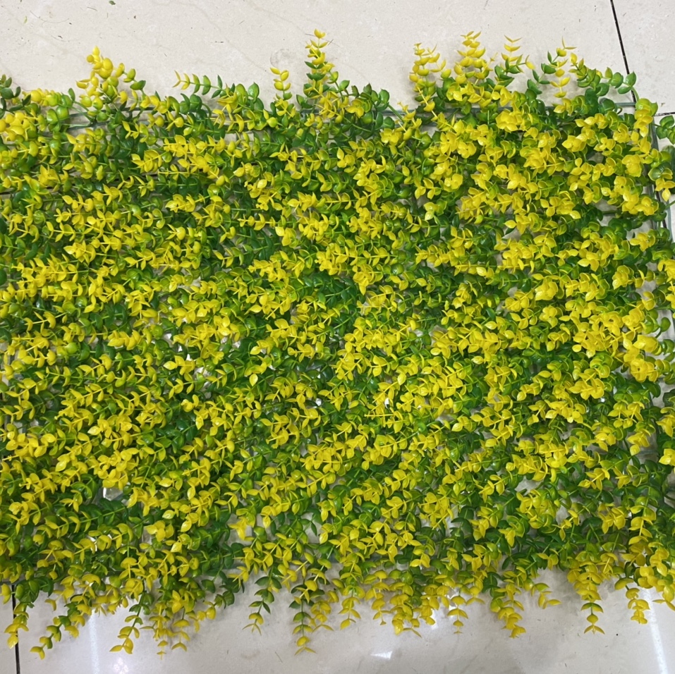 Yellow-green eucalyptus
