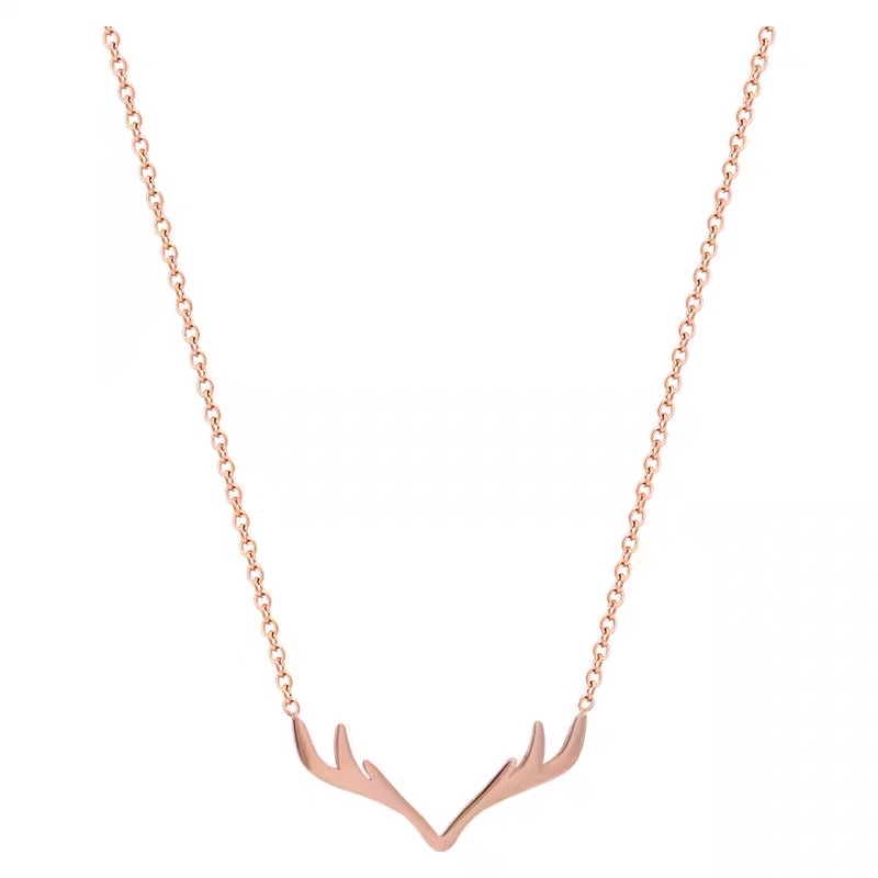 Elegant pendant titanium steel necklace for women, light luxury and niche collarbone chain, personalized design and accessory Application Scenario
