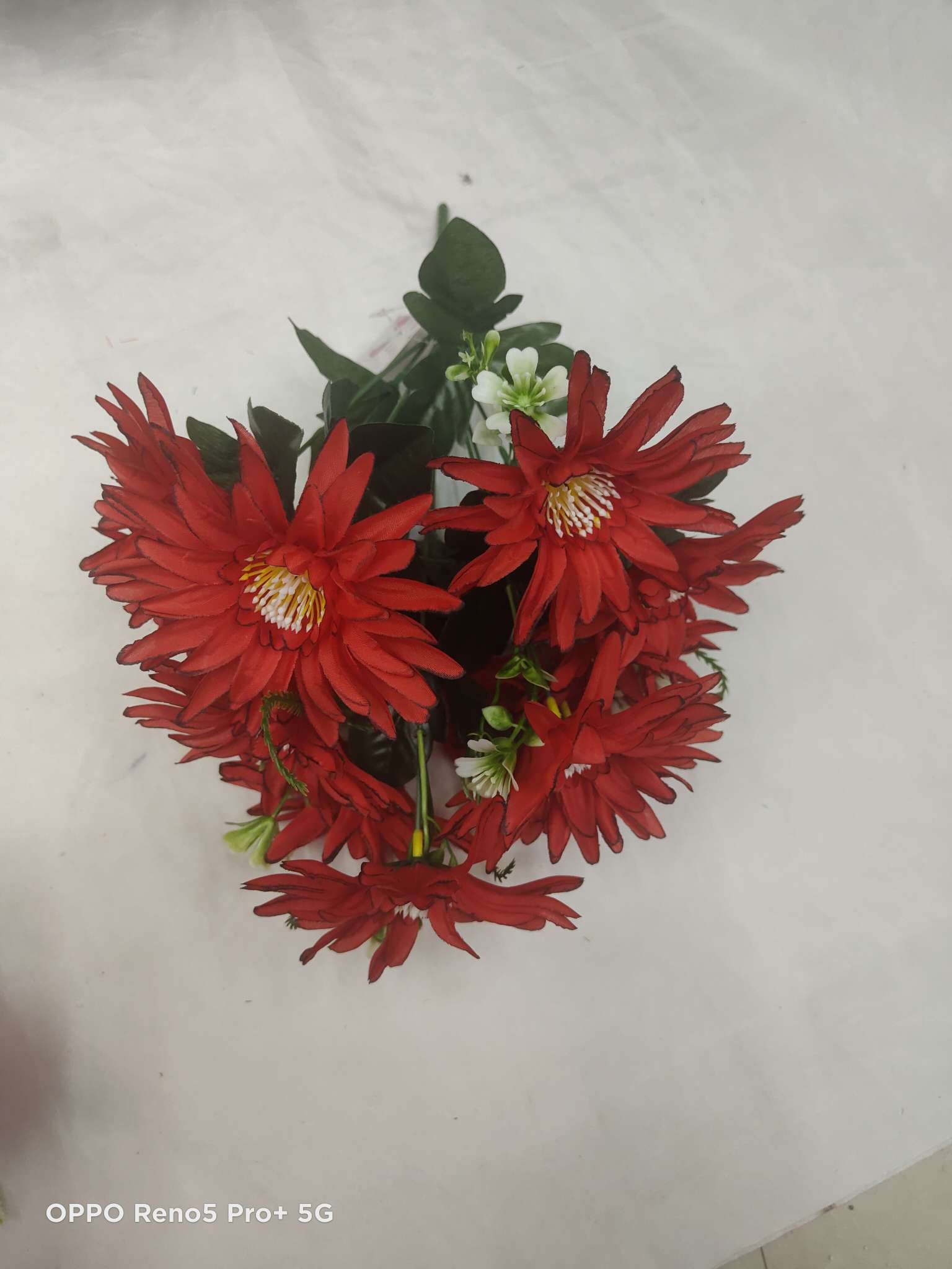Nine slender chrysanthemums details Picture