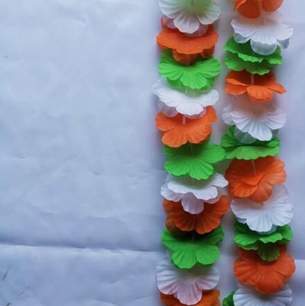 太阳花花环桔白绿