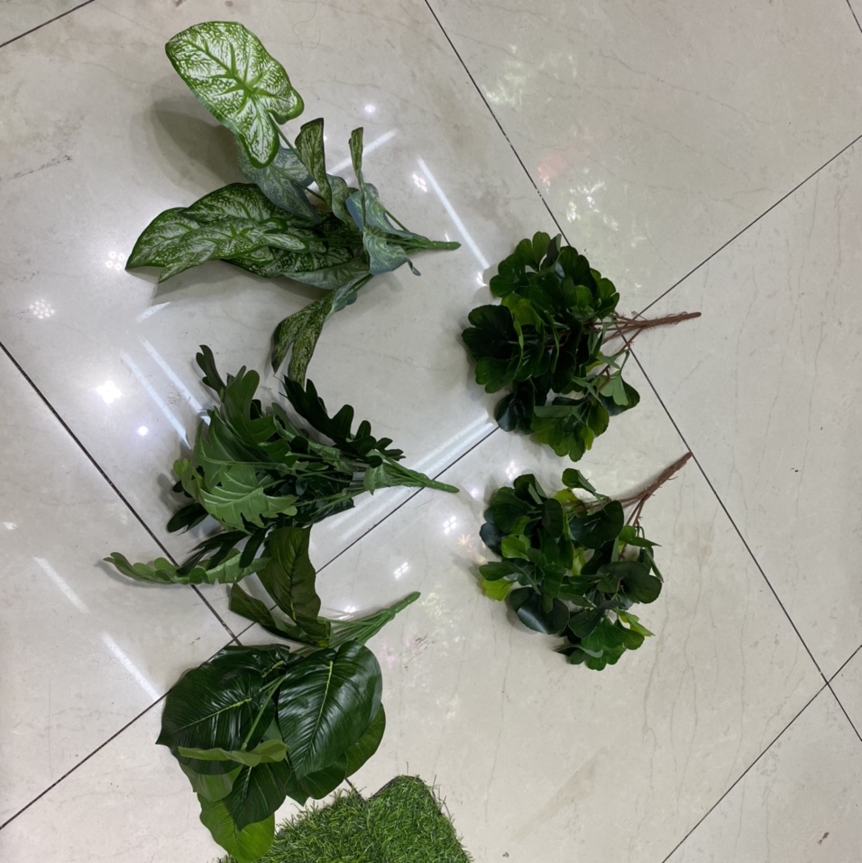 Green plant