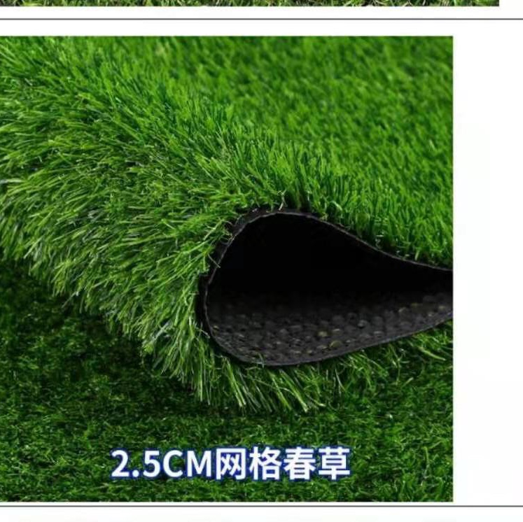 Carpet grass 2