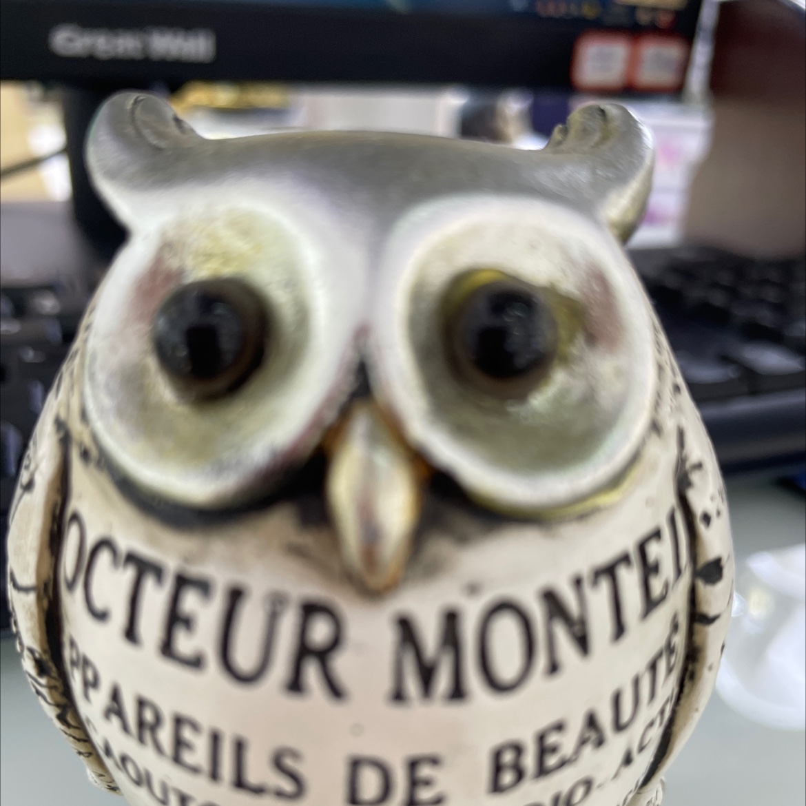 15233
