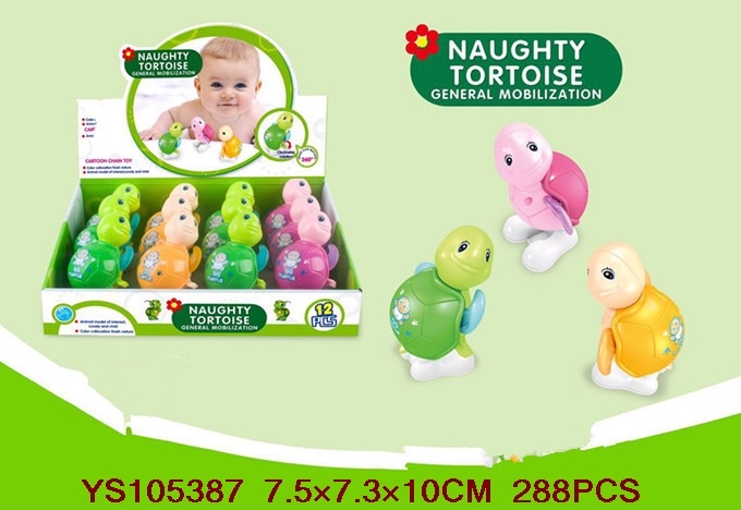 Turtle details Picture