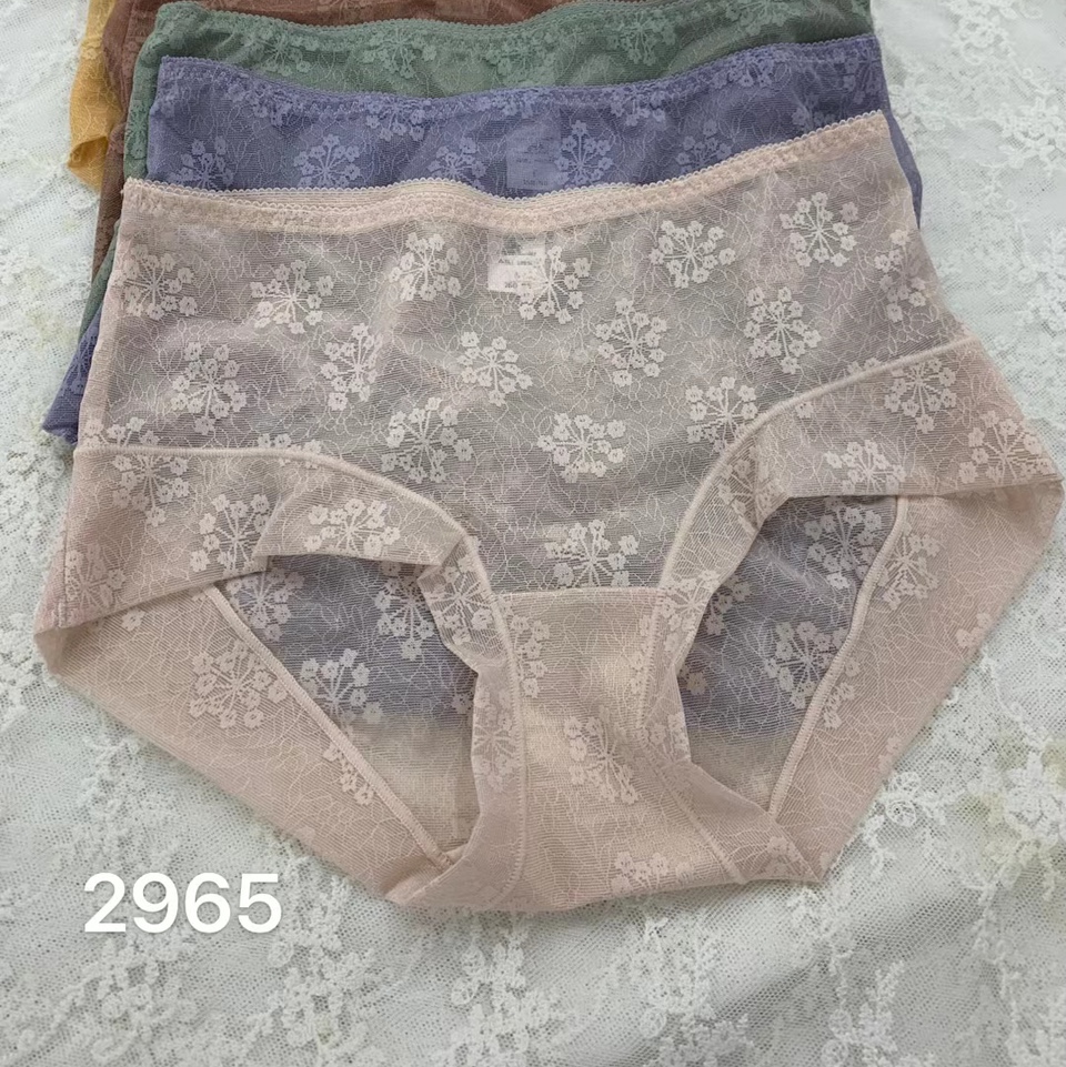 2965 women's panties