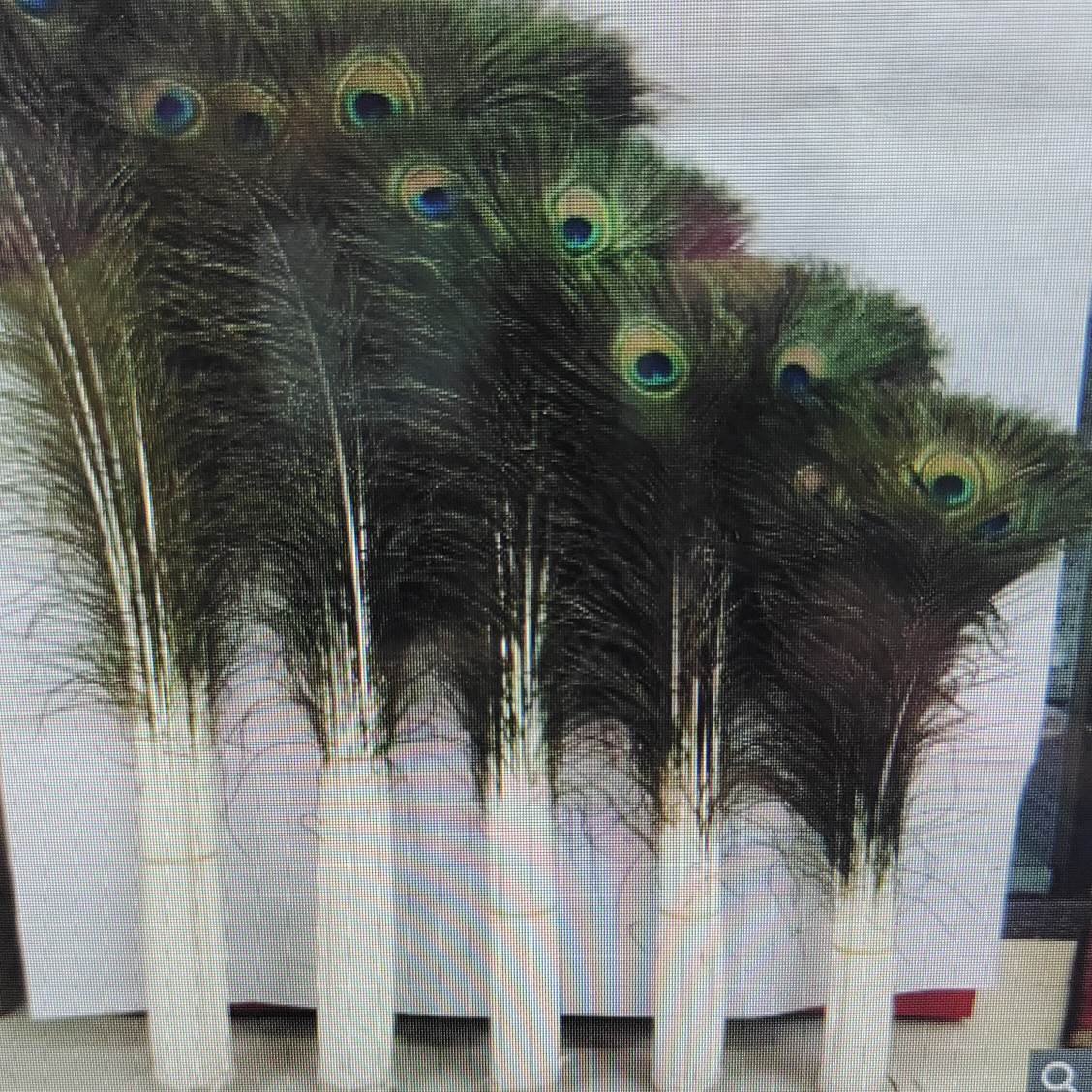 Peacock feathers 25-30 cm natural color