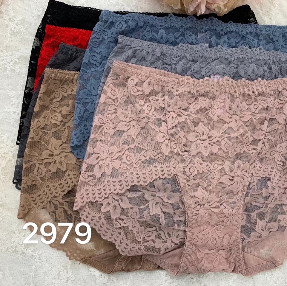 2979爆款女内裤