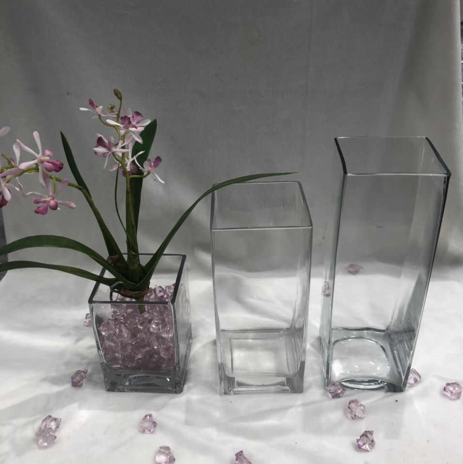 Modern simple transparent square glass vase living room bedroom dried flowers flowers decorative utensils