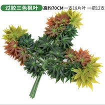 Maple green gum