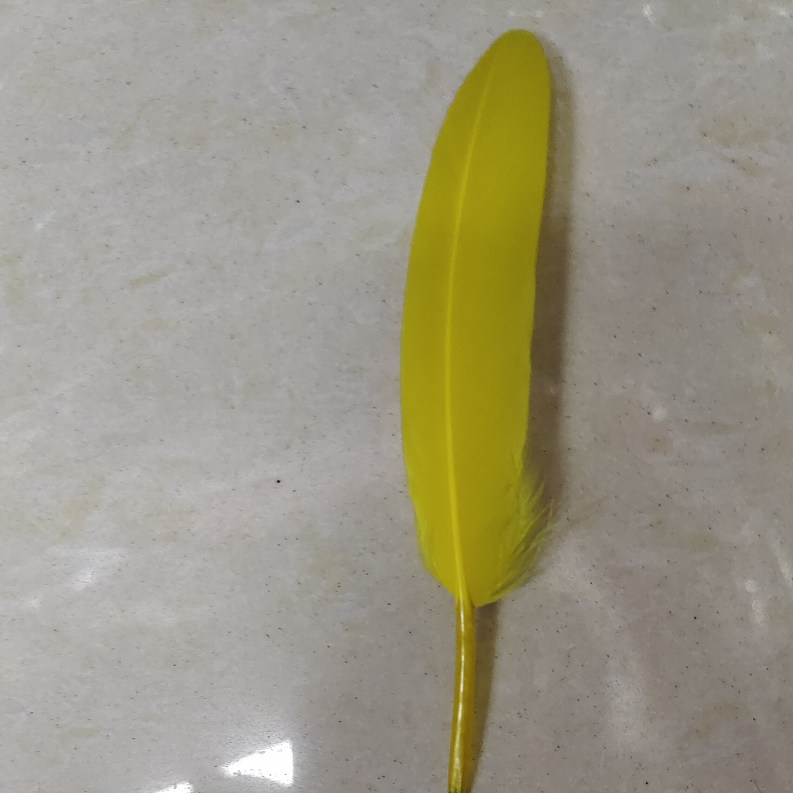 Goose straight knife feather 10-15 cm goose yellow