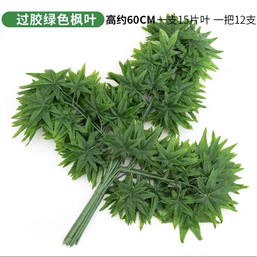 Green maple gum