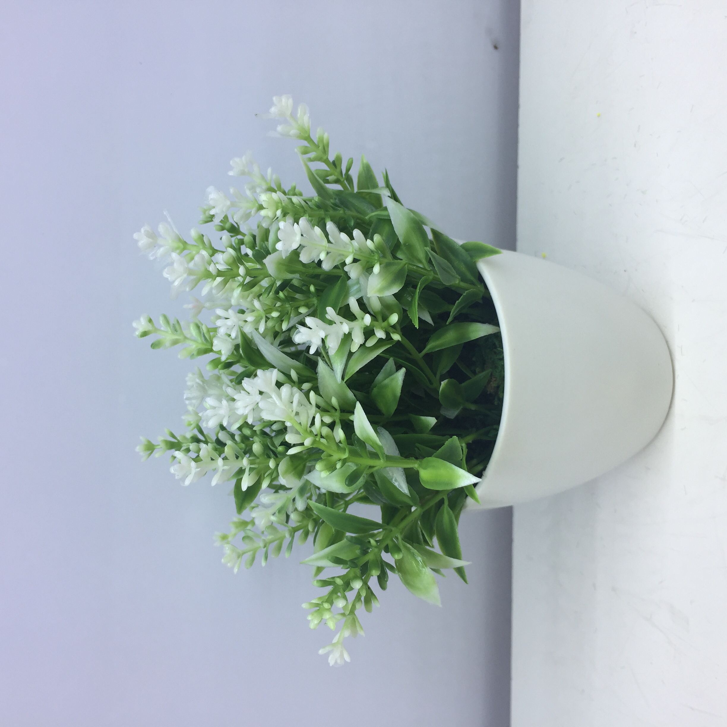 Simulación de plástico al por mayor flower doting Application Scenario