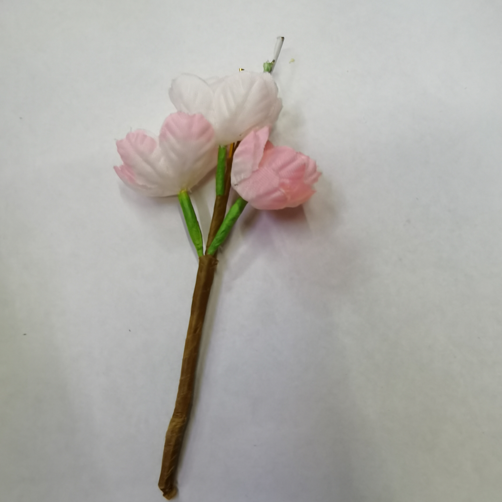 Cherry blossom