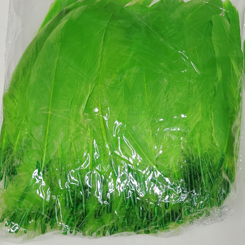 Goose feather small feather green