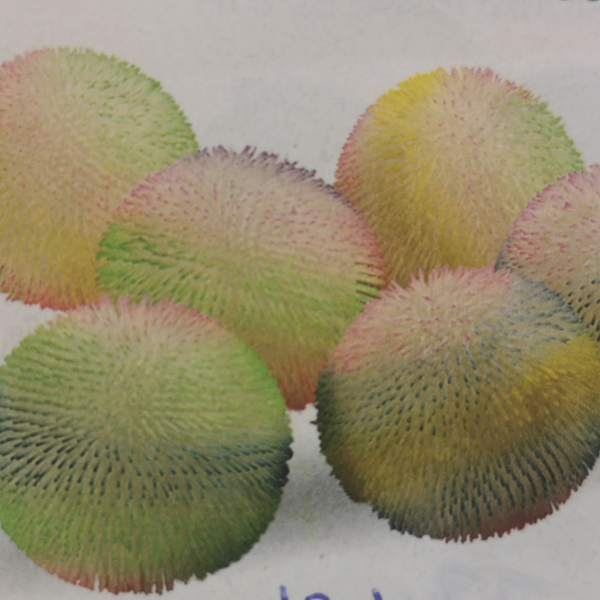 10寸透明五环密毛球