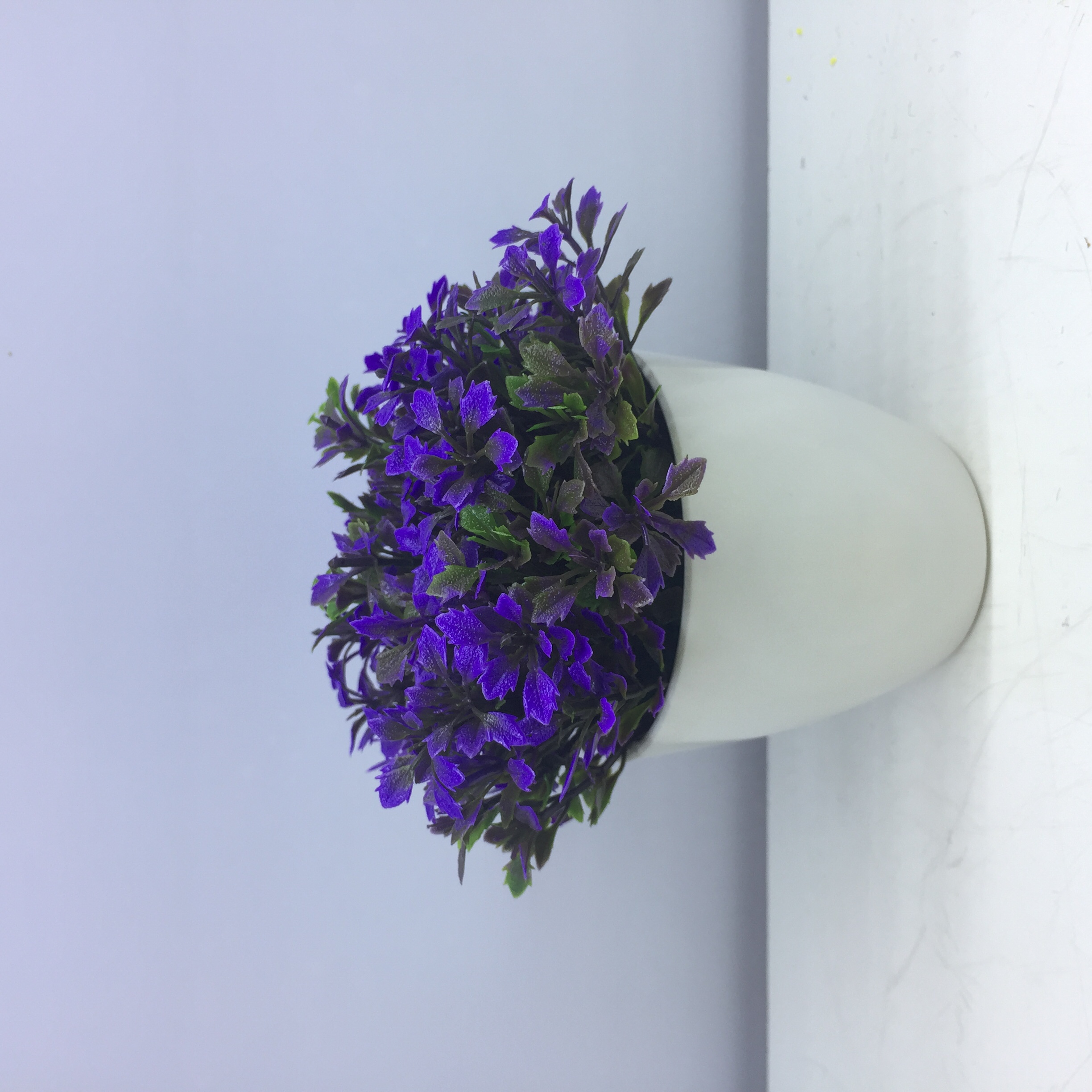 نباتات اصطناعية من الحوض البلاستيكي Item Picture
