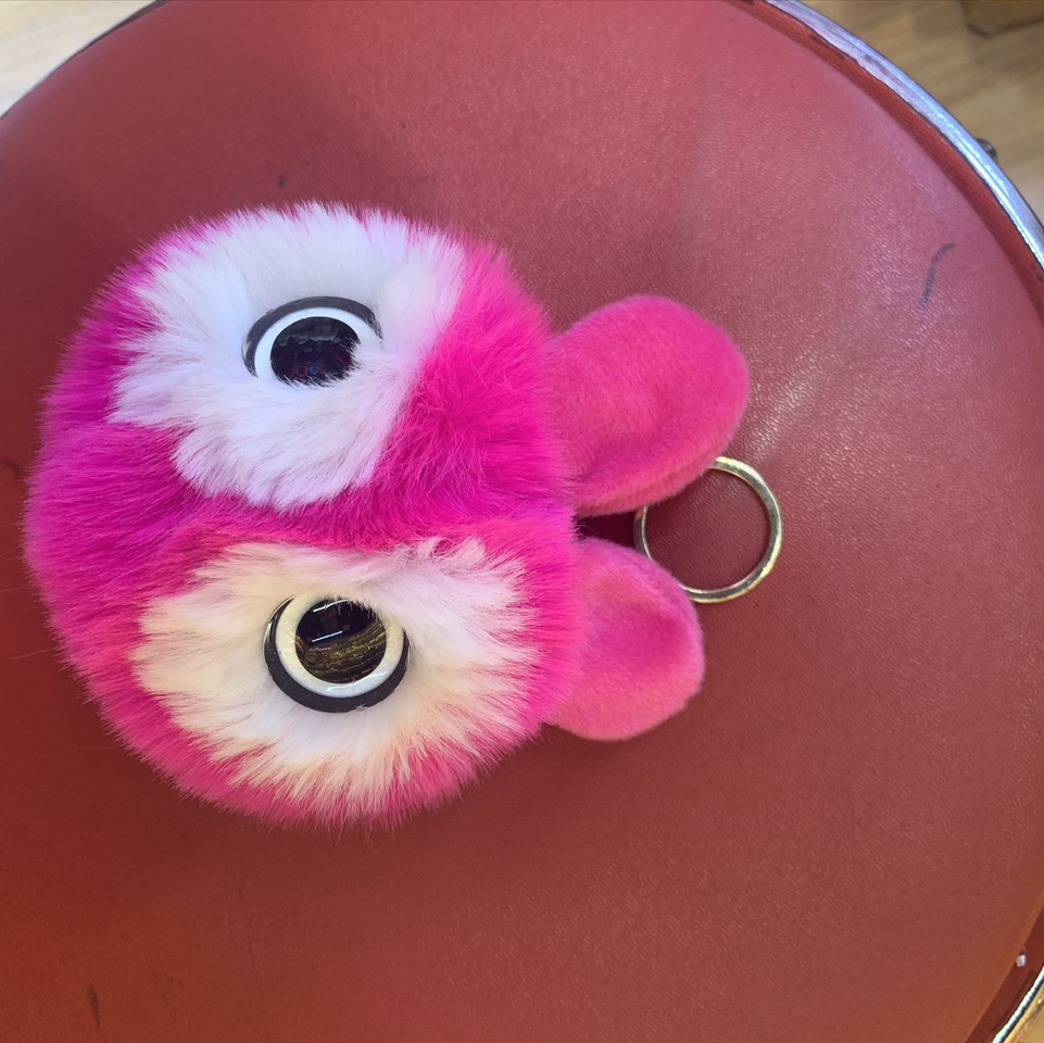 宇越裘皮耳朵大眼球