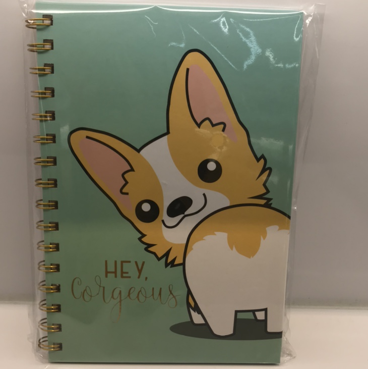 Koki Coil book full figure
