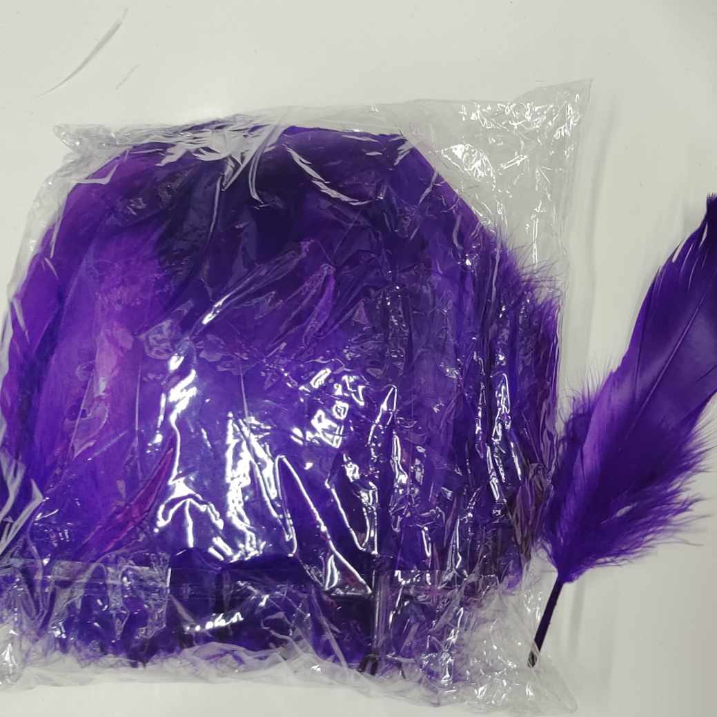 Goose feather small feather purple