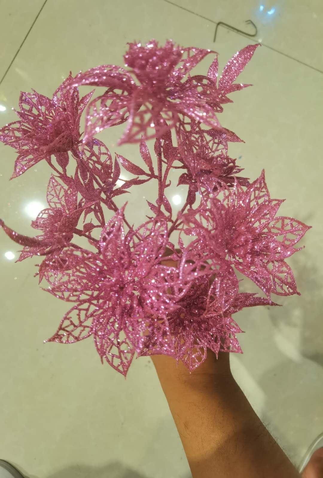 7头小圣诞花产品图