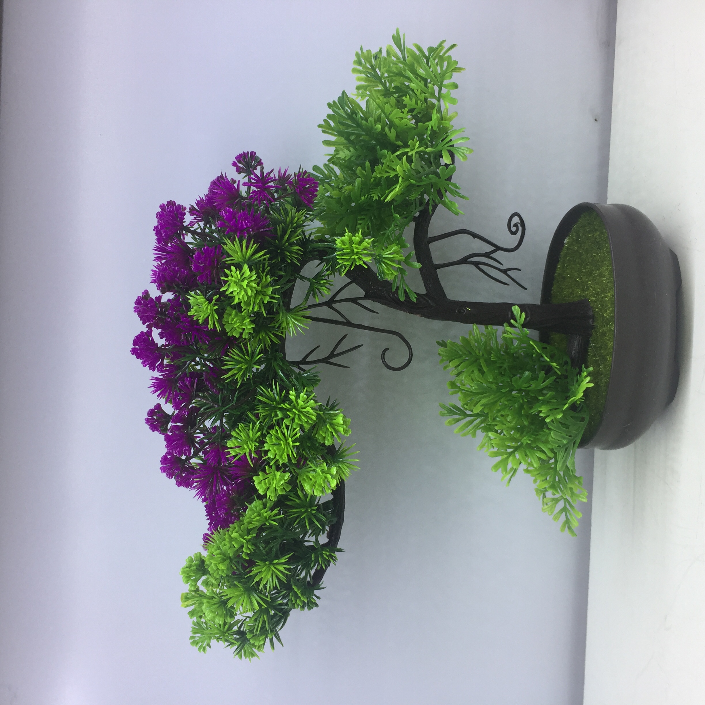 الوعاء البلاستيكي عبارة عن ترتيب نباتي Item Picture