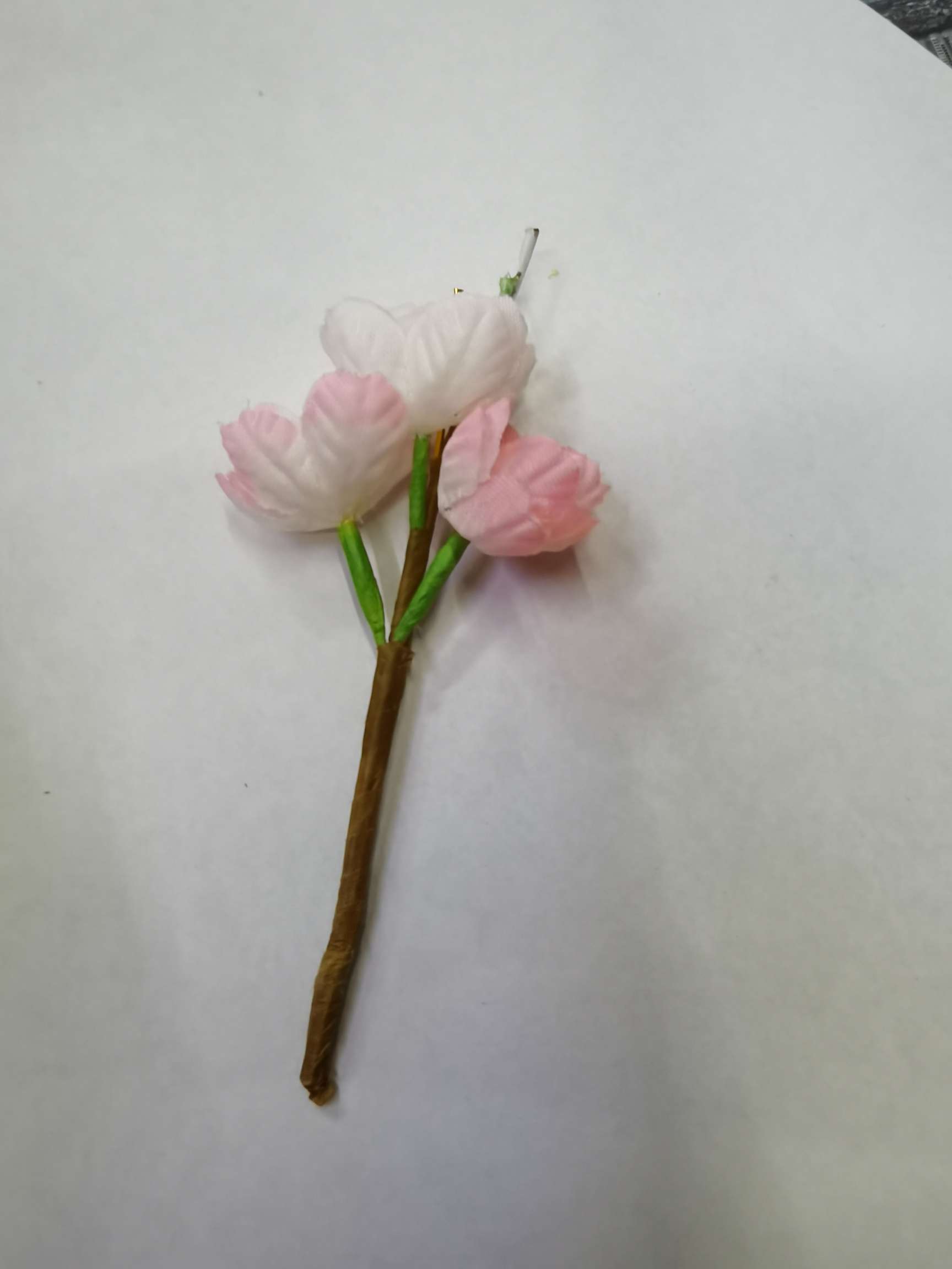 Cherry blossom details Picture