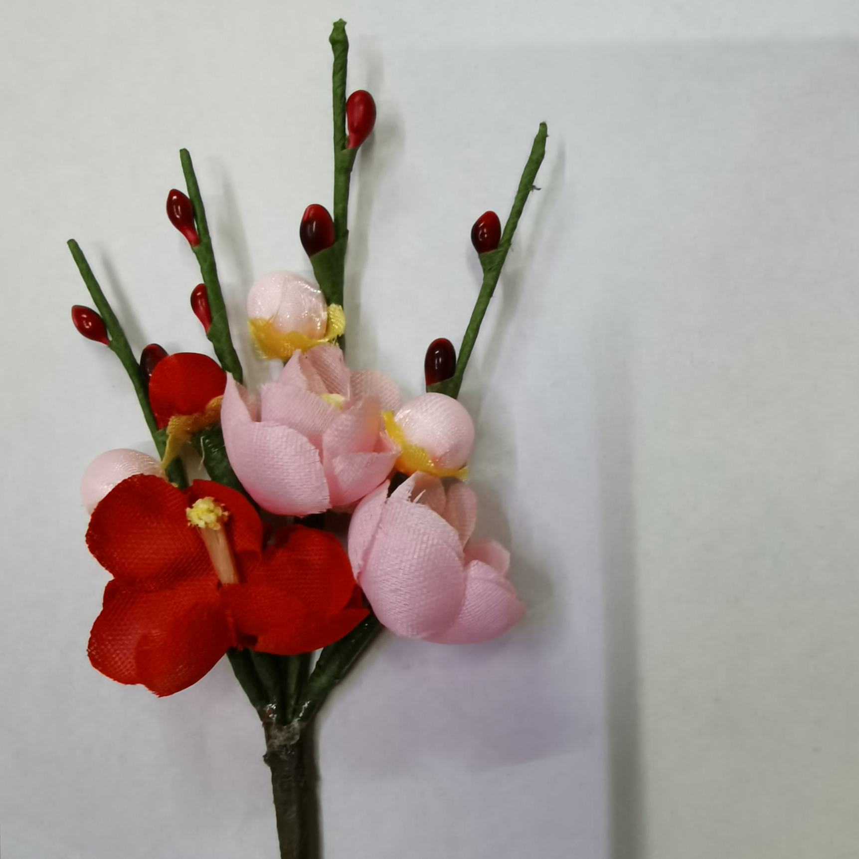 三朵双色梅花大