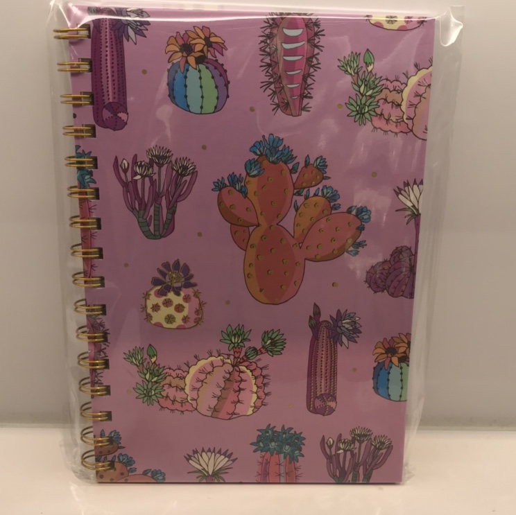 Pink Cactus Notebook full figure