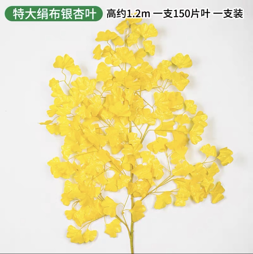 gingko thumbnail