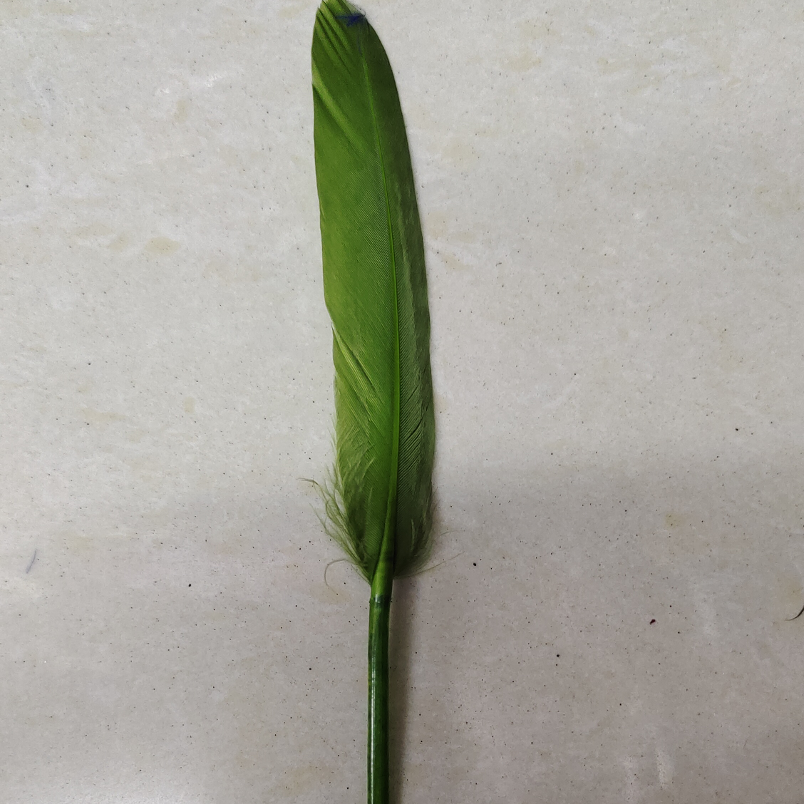 Goose straight knife feather 10-15 cm army green