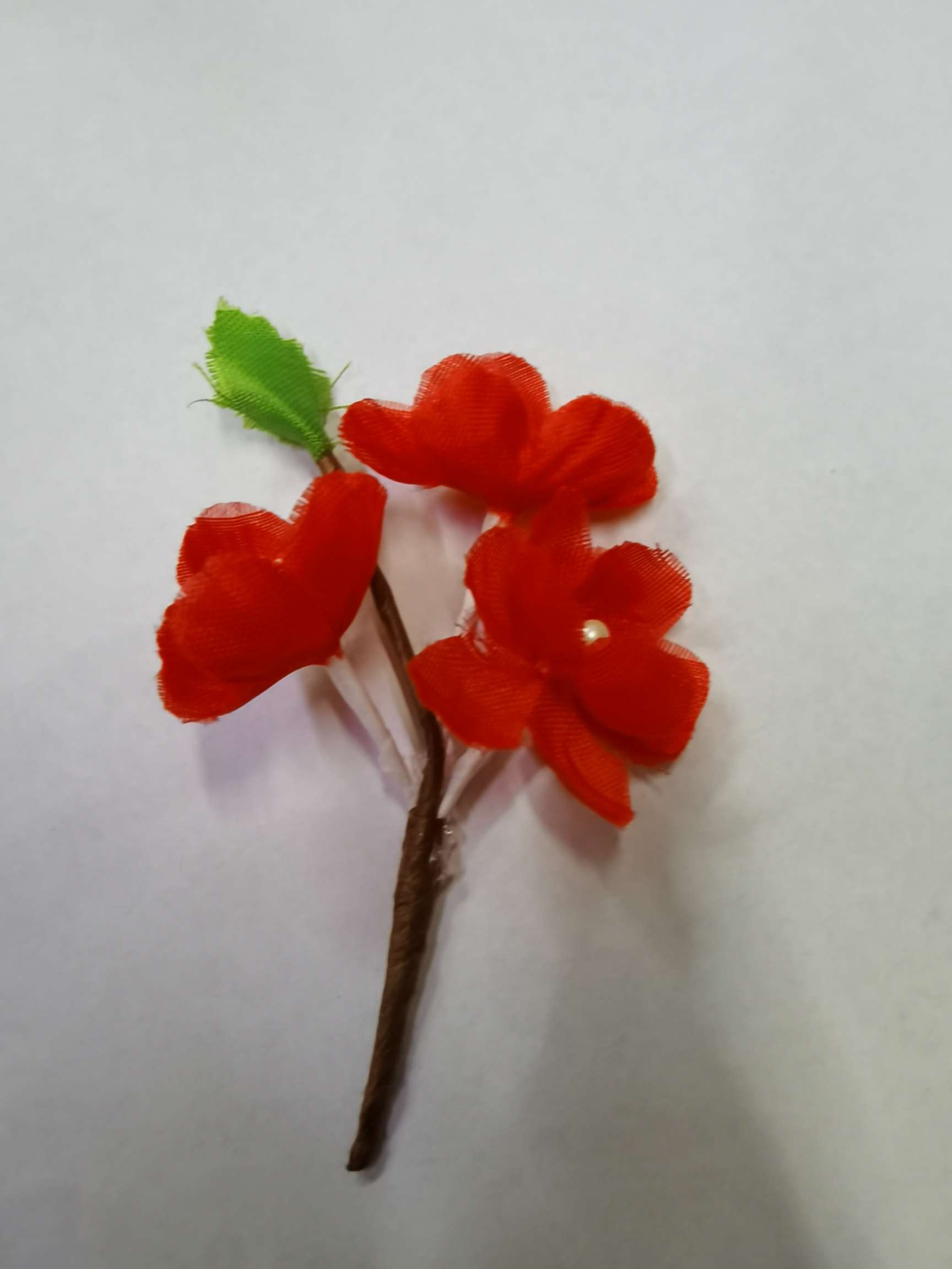 Three small plum blossoms and green leaves details Picture