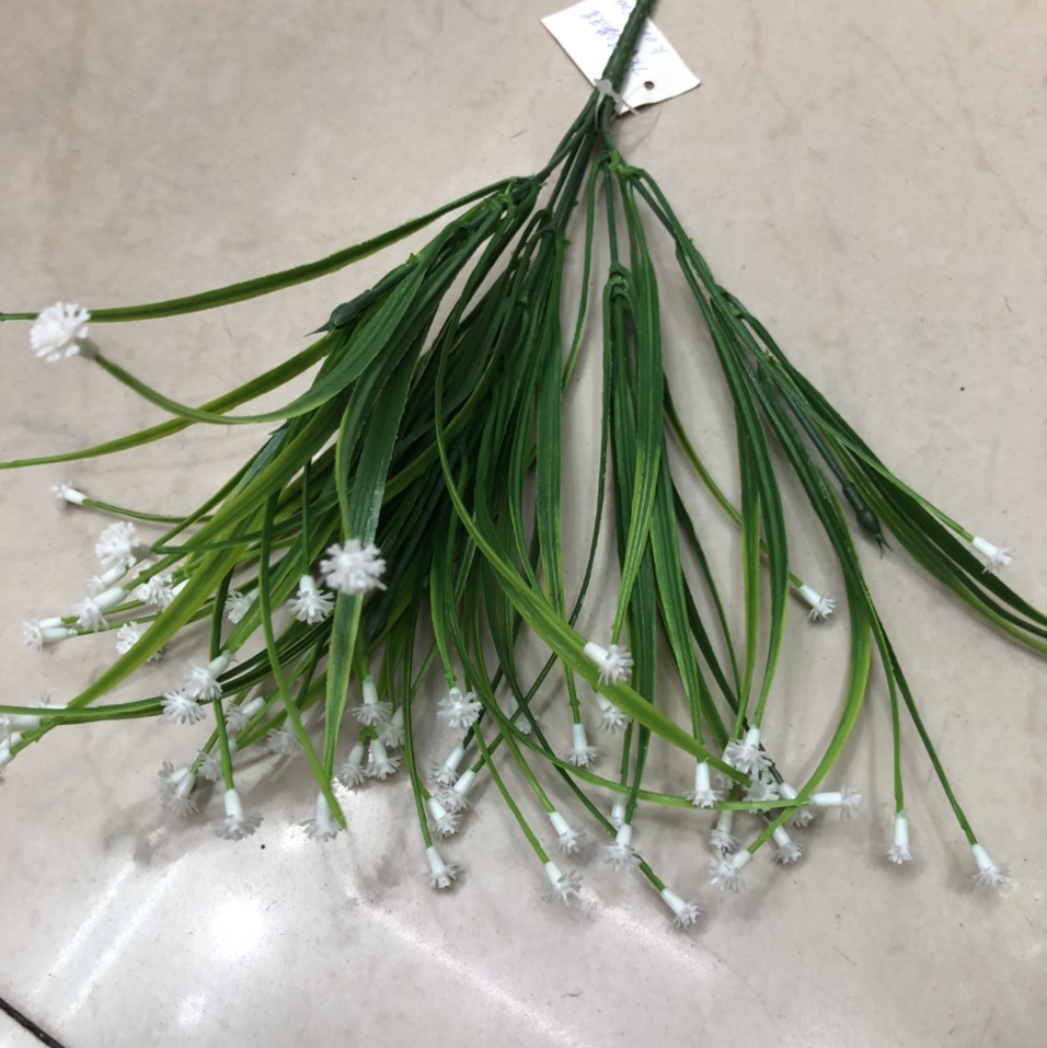 水草一94