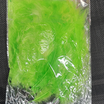 Pintail feathers green
