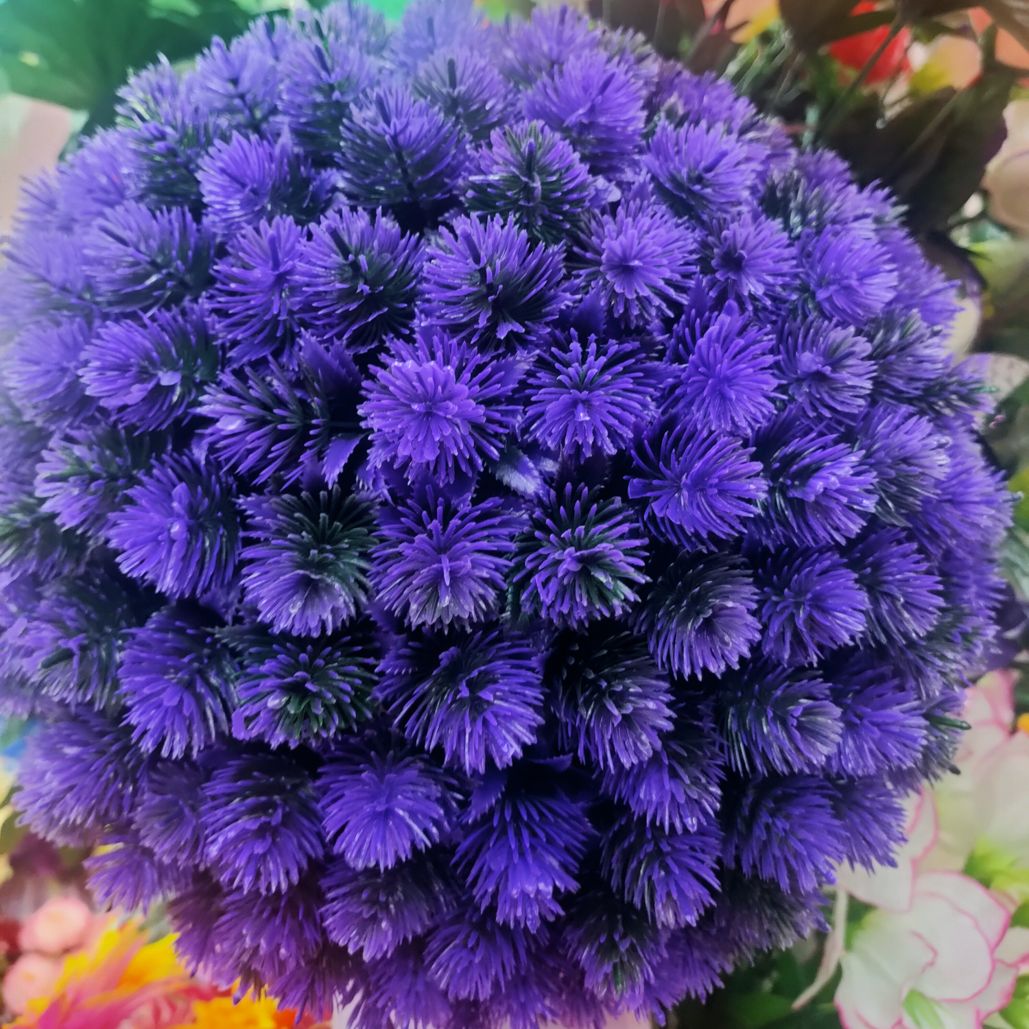الكرة العشب
