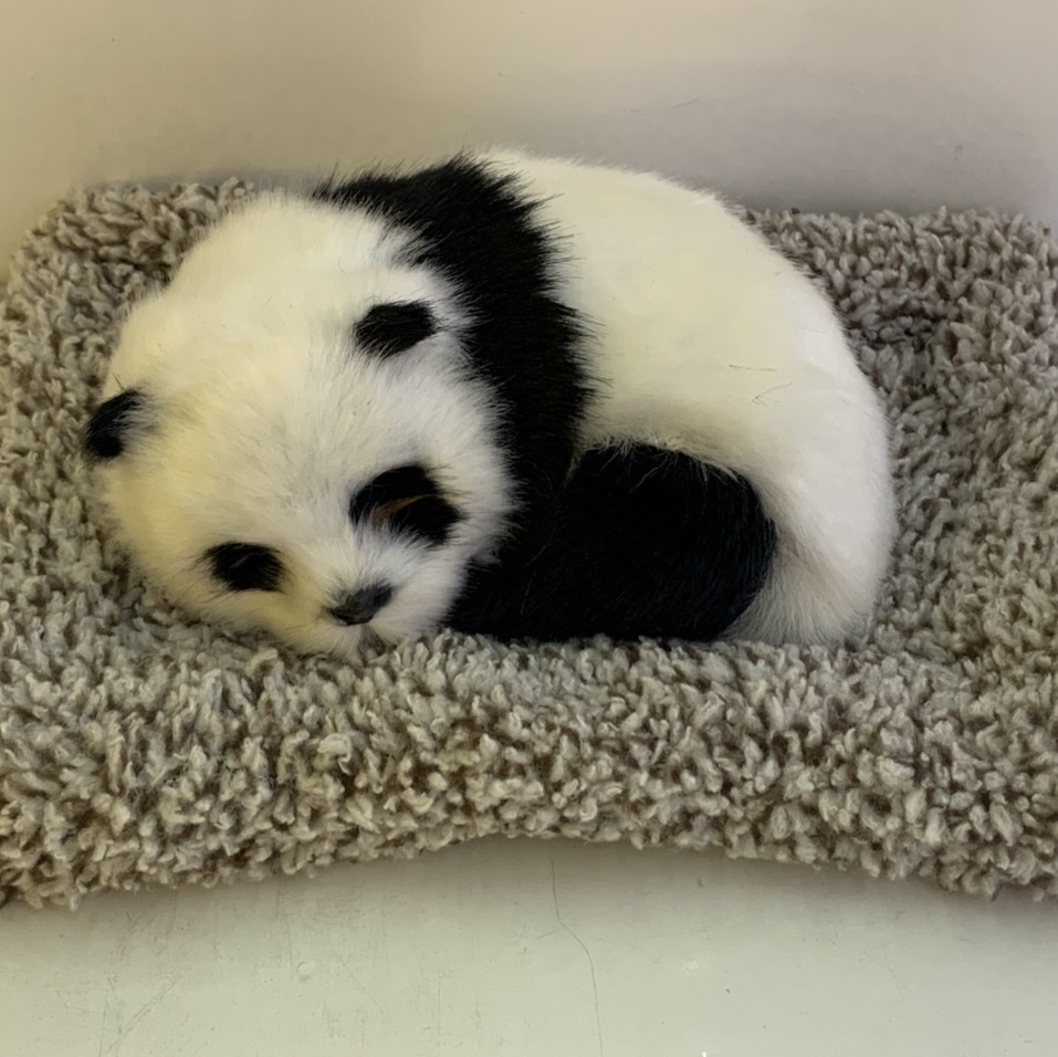 宇越裘皮小号竹炭熊猫小号竹炭猫青狸花 大号竹炭狗黑白色汽车用品摆件除异味可爱不点猫 内销2 外贸量大优惠
