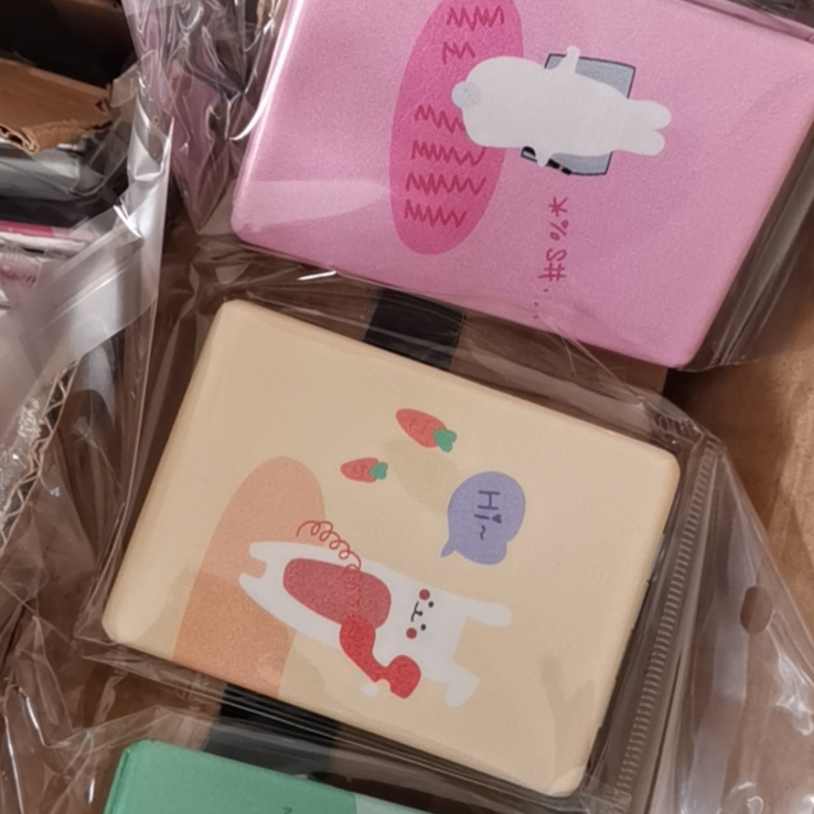 长方小清新化妆镜