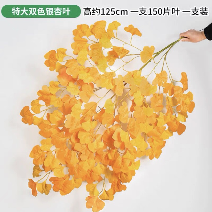 Large single two-color ginkgo biloba