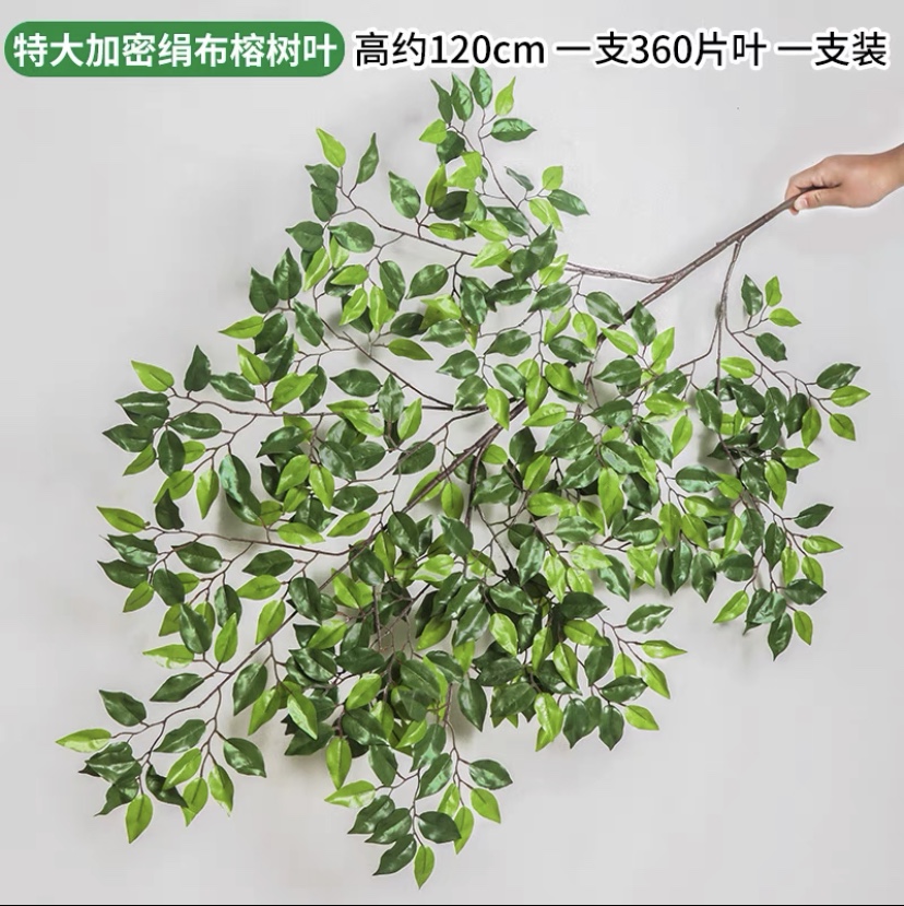 Large crypto banyan leaves