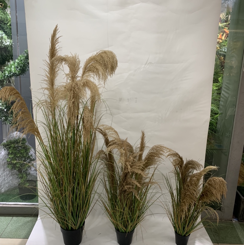 天然芦苇 仿真植物 婚庆用品高端产品、家居用品、仿真婚庆用品家居用品