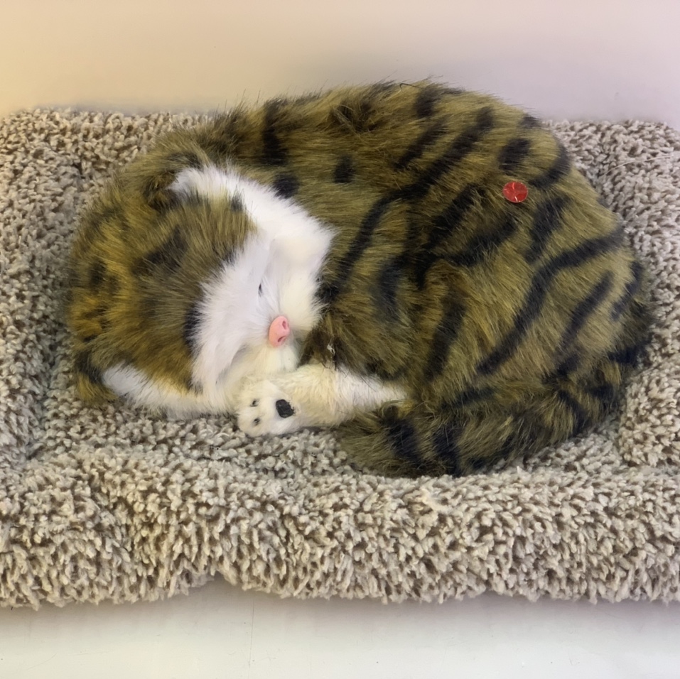 宇越裘皮大号竹炭猫青狸花小号竹炭猫青狸花 大号竹炭狗黑白色汽车用品摆件除异味可爱不点猫 内销 外贸量大优惠