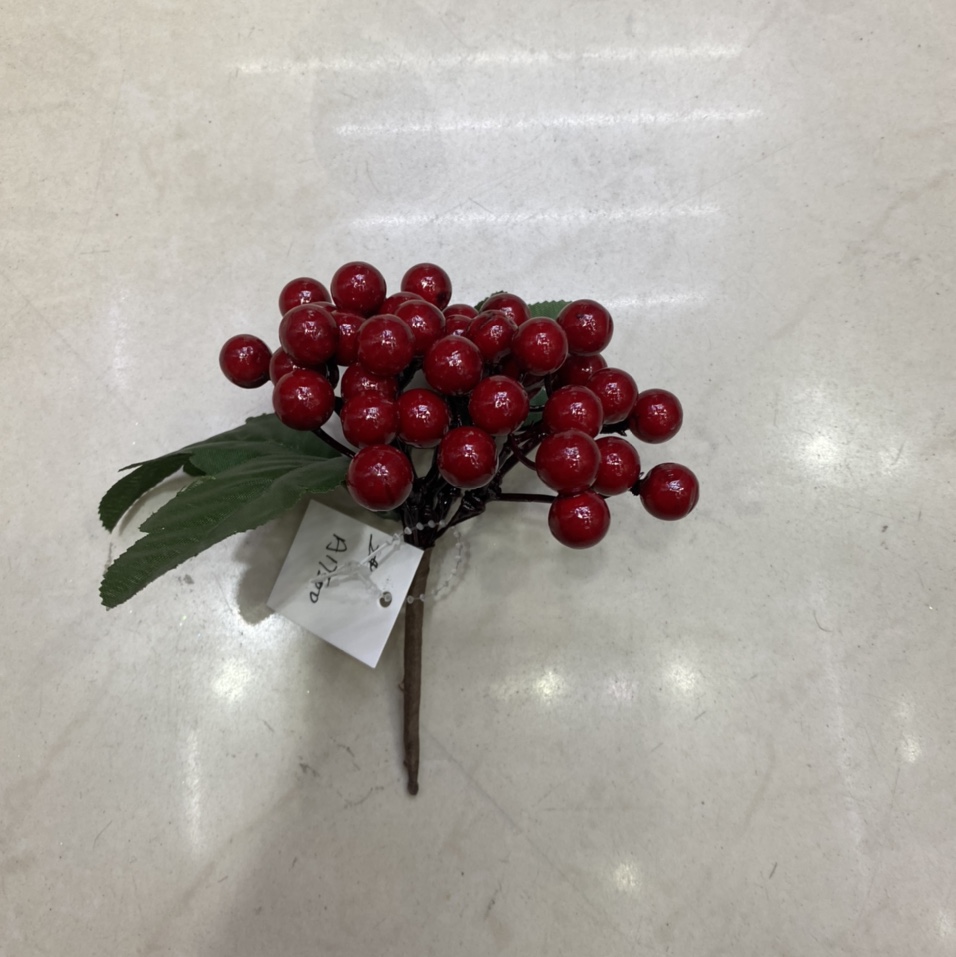 圣诞产品2
