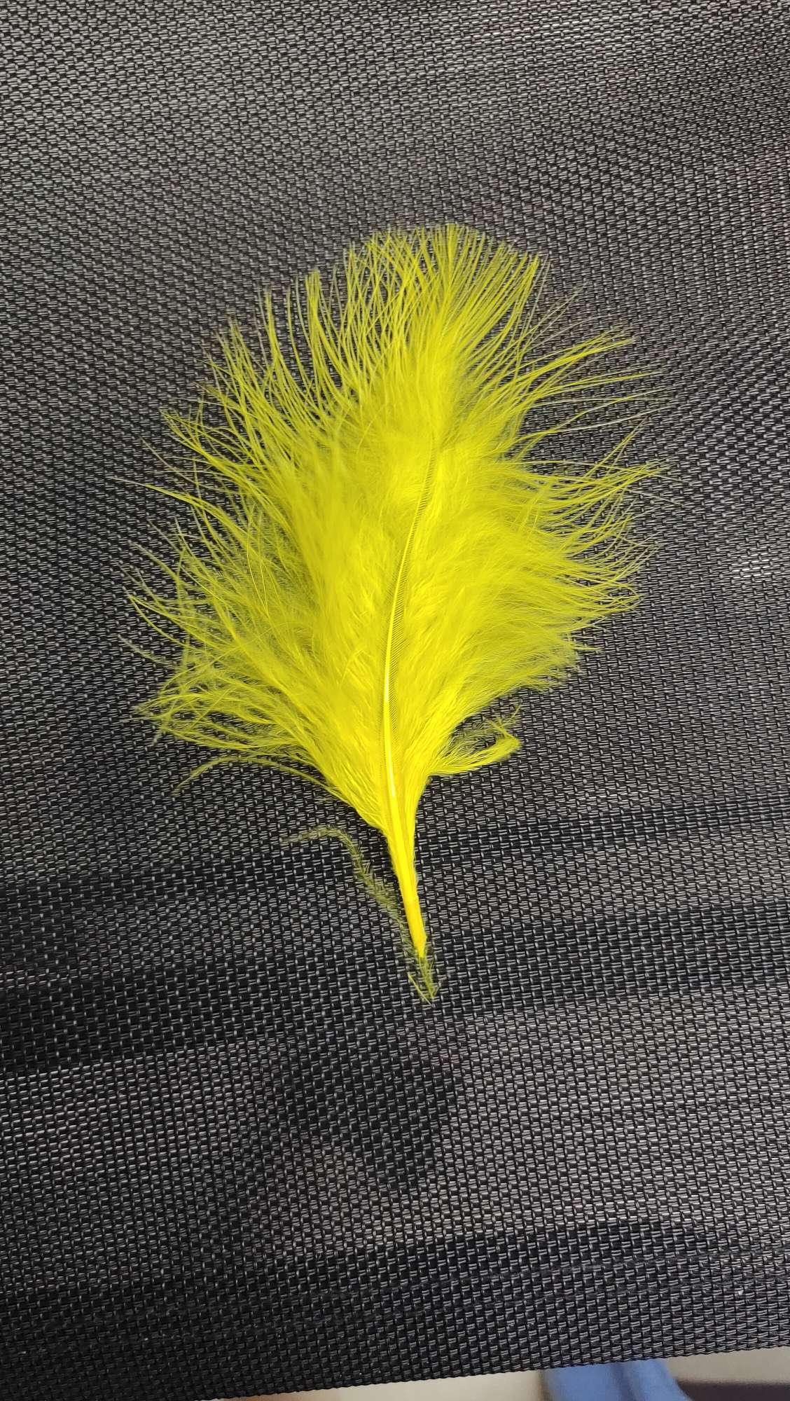 火鸡全绒羽毛红色详情图4