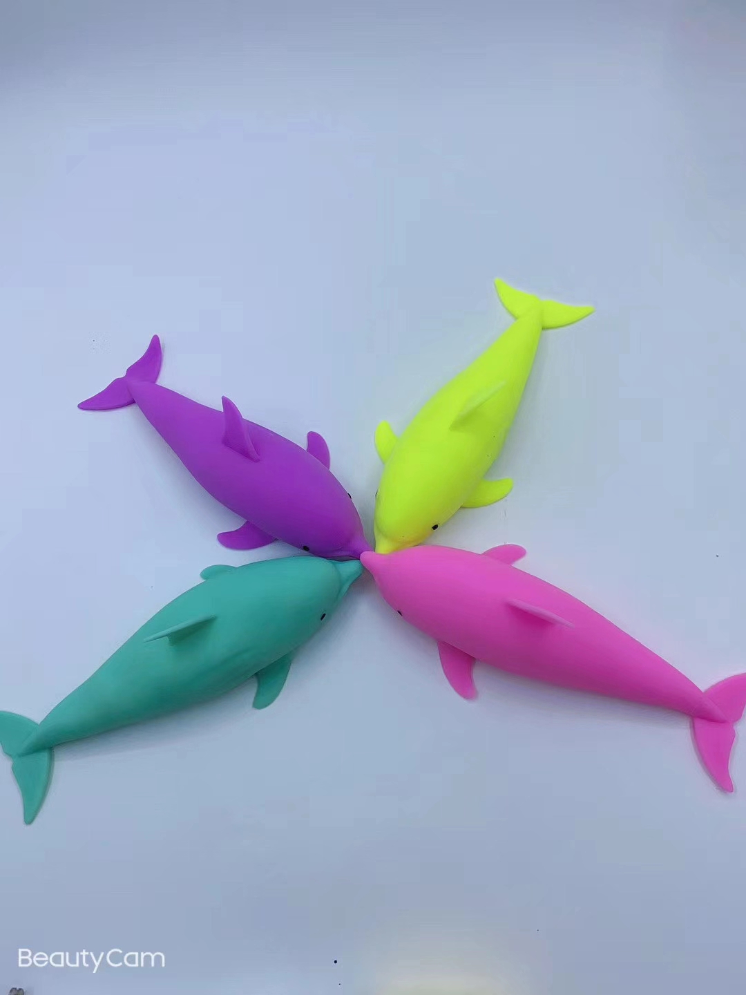 海豚拉拉乐产品图